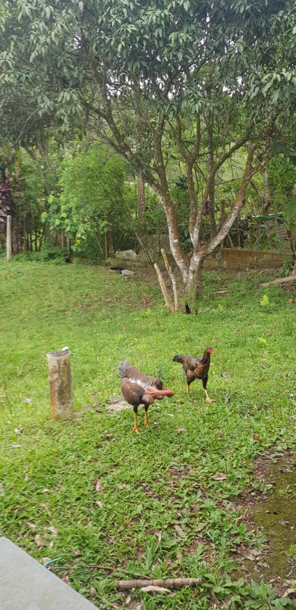 Bela Chácara Suzano Exterior foto